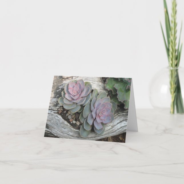 Ecehveria Succulent Note Card (Front)