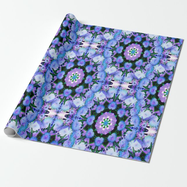 Echanicea in blue.... wrapping paper (Unrolled)