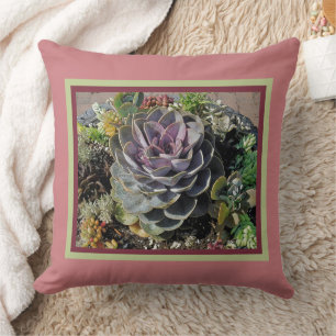 "ECHEVERIA AND OTHER SUCCULENTS" CUSHION