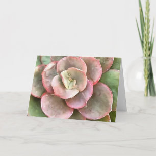 Echeveria Cactus Succulent Acrylic Painting Card