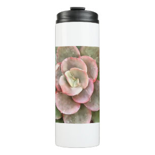 Echeveria Cactus Succulent Acrylic Painting Thermal Tumbler
