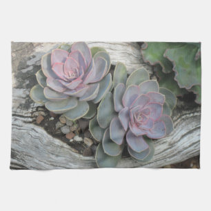 Echeveria Dish Towel