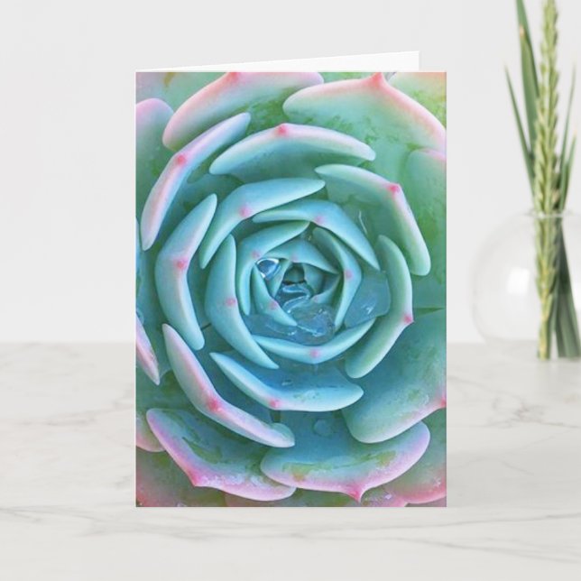 Echeveria Imbricata Succulent Greeting Card (Front)
