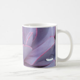 Echeveria 'Perle von Nurnberg' mug