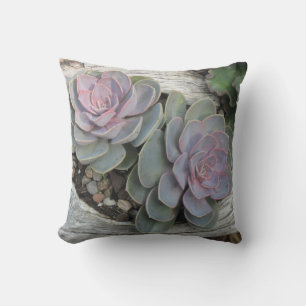 Echeveria Pillow