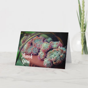 Echeveria Rose Succulent Potted Plant Thank You Card