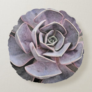 Echeveria "rose" Succulent  Round Cushion