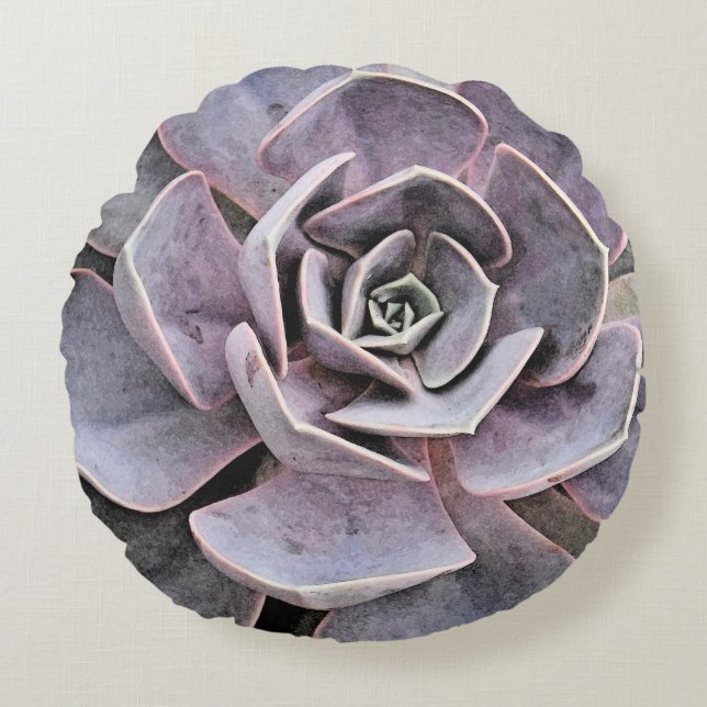 Echeveria "rose" Succulent  Round Cushion (Front)