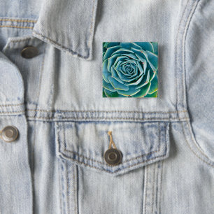 Echeveria Rosette, Secret Garden of Marrakech 15 Cm Square Badge