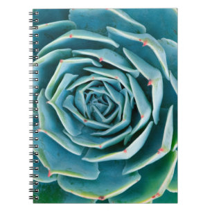 Echeveria Rosette, Secret Garden of Marrakech Notebook