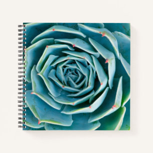 Echeveria Rosette, Secret Garden of Marrakech Notebook
