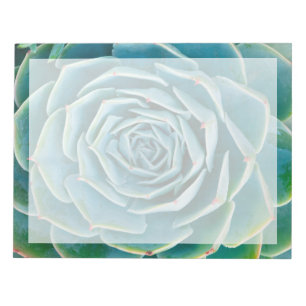 Echeveria Rosette, Secret Garden of Marrakech Notepad