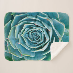 Echeveria Rosette, Secret Garden of Marrakech Sherpa Blanket