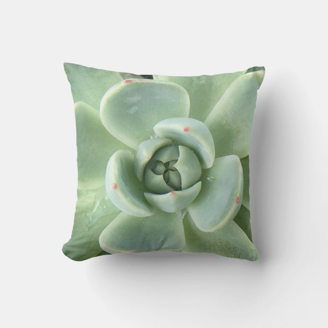 Echeveria Succulent Cushion (Front)