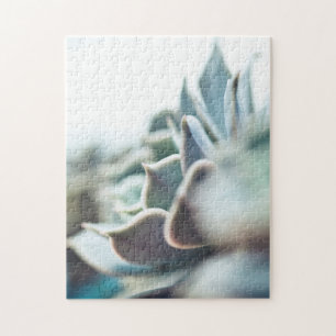 Echeveria succulent jigsaw puzzle
