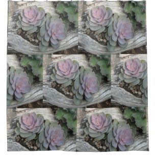Echeveria Succulent Pattern Shower Curtain