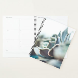Echeveria succulent planner