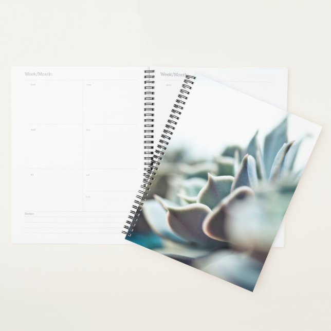 Echeveria succulent planner (Display)