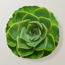 Echeveria Succulent Round Pillow