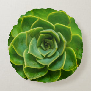 Echeveria Succulent Round Pillow