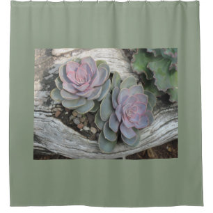 Echeveria Succulent Shower Curtain