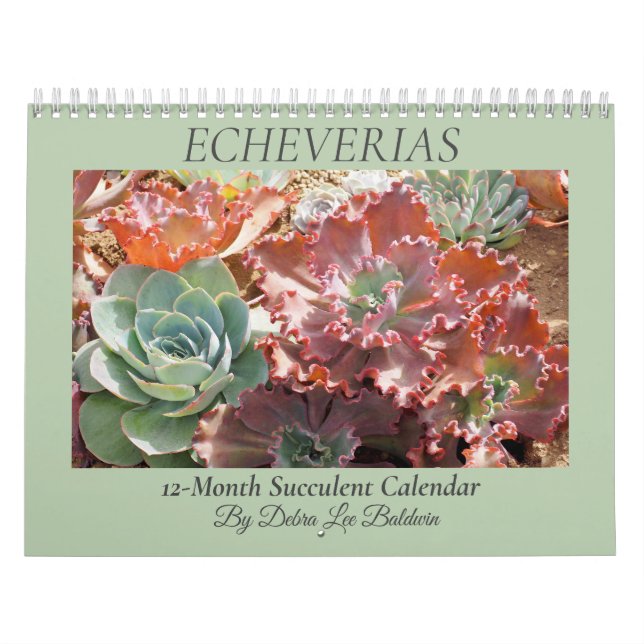 Echeverias Succulent 12-Month Calendar (Cover)