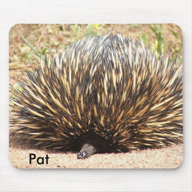echidna_01, Pat Mouse Mat (Front)