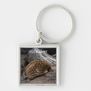 Echidna Australia Cute Animal Anteater Key Ring