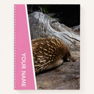 Echidna Australia Cute Spiky Animal, Pink Notebook