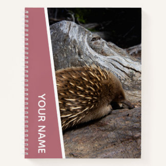 Echidna Australia Cute Spiky Animal, Rose Gold Notebook