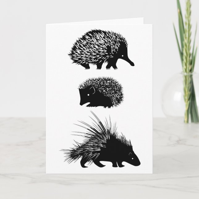 Echidna, hedgehog, porcupine greeting card (Front)