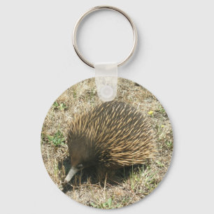 Echidna Key Ring