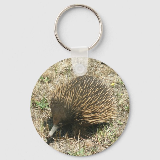 Echidna Key Ring (Front)
