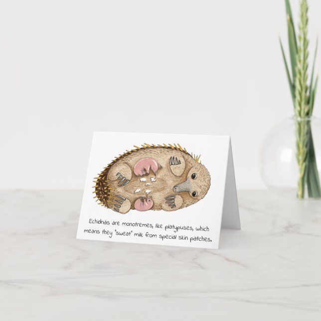 Echidna Mother's Day Card (Front)