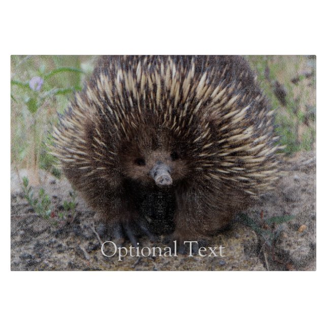 Echidna or Spiny Anteater Australia Cutting Board (Front)