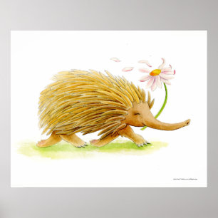 Echidna watercolor whimsy art poster