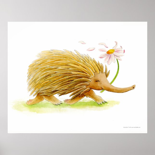 Echidna watercolor whimsy art poster (Front)