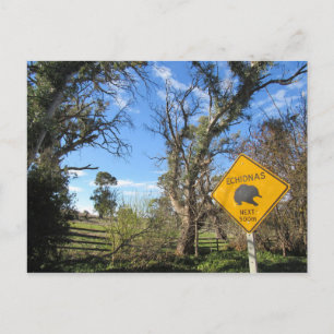 echidnas ahead postcard