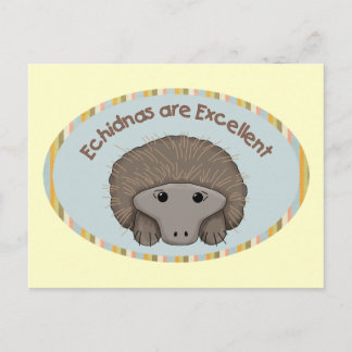 Echidnas are Excellent Postcard