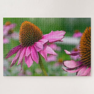 Echinacea  Flower Jigsaw Puzzle