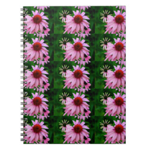 echinacea flower notebook