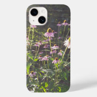 Echinacea Flowers in the Sun
