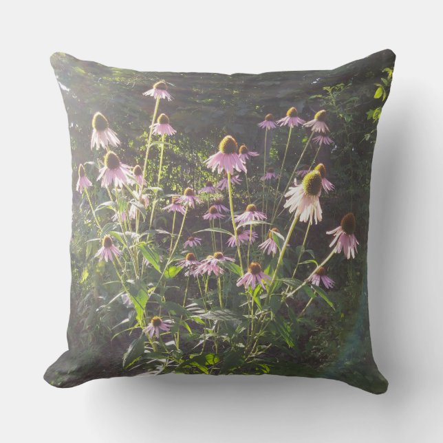 Echinacea Flowers in the Sun Cushion (Front)