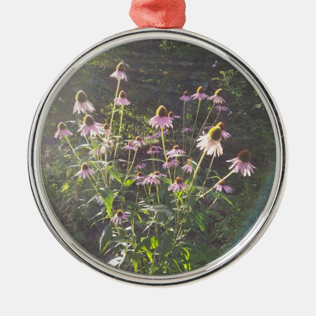 Echinacea Flowers in the Sun Metal Tree Decoration (Front)