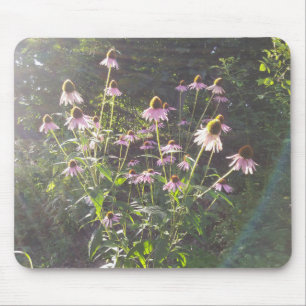 Echinacea Flowers in the Sun Mouse Mat