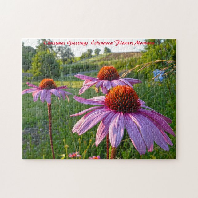 Echinacea Flowers Montana. Christmas Greetings Jigsaw Puzzle (Horizontal)