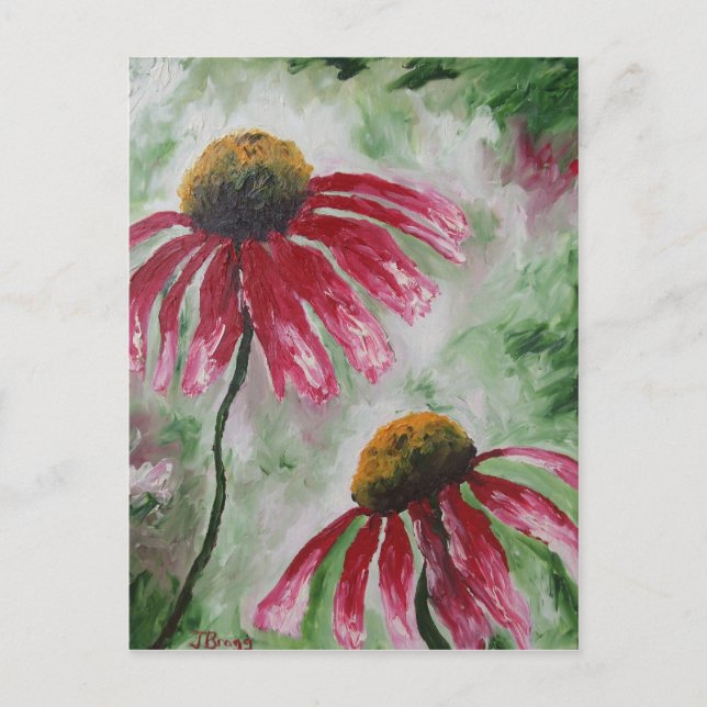 Echinacea Postcard (Front)