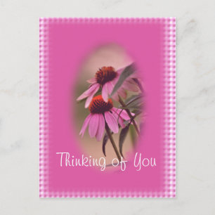 Echinacea & Seersucker Postcard- personalise Postcard