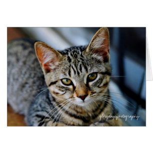 Echo, glorydaysphotography