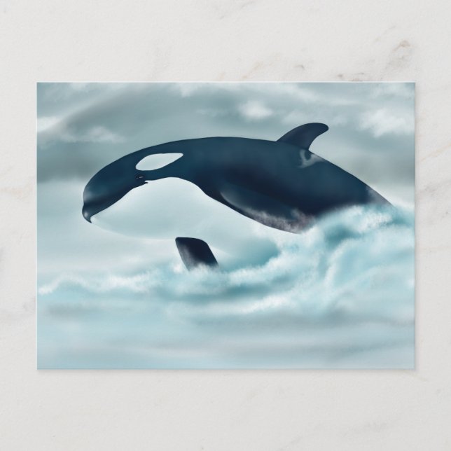 Echo (J42) Postcard (Front)